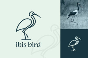 Ibis Bird Logo Design 11