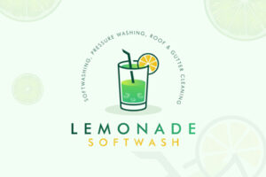 Lemonade Logo Design 13