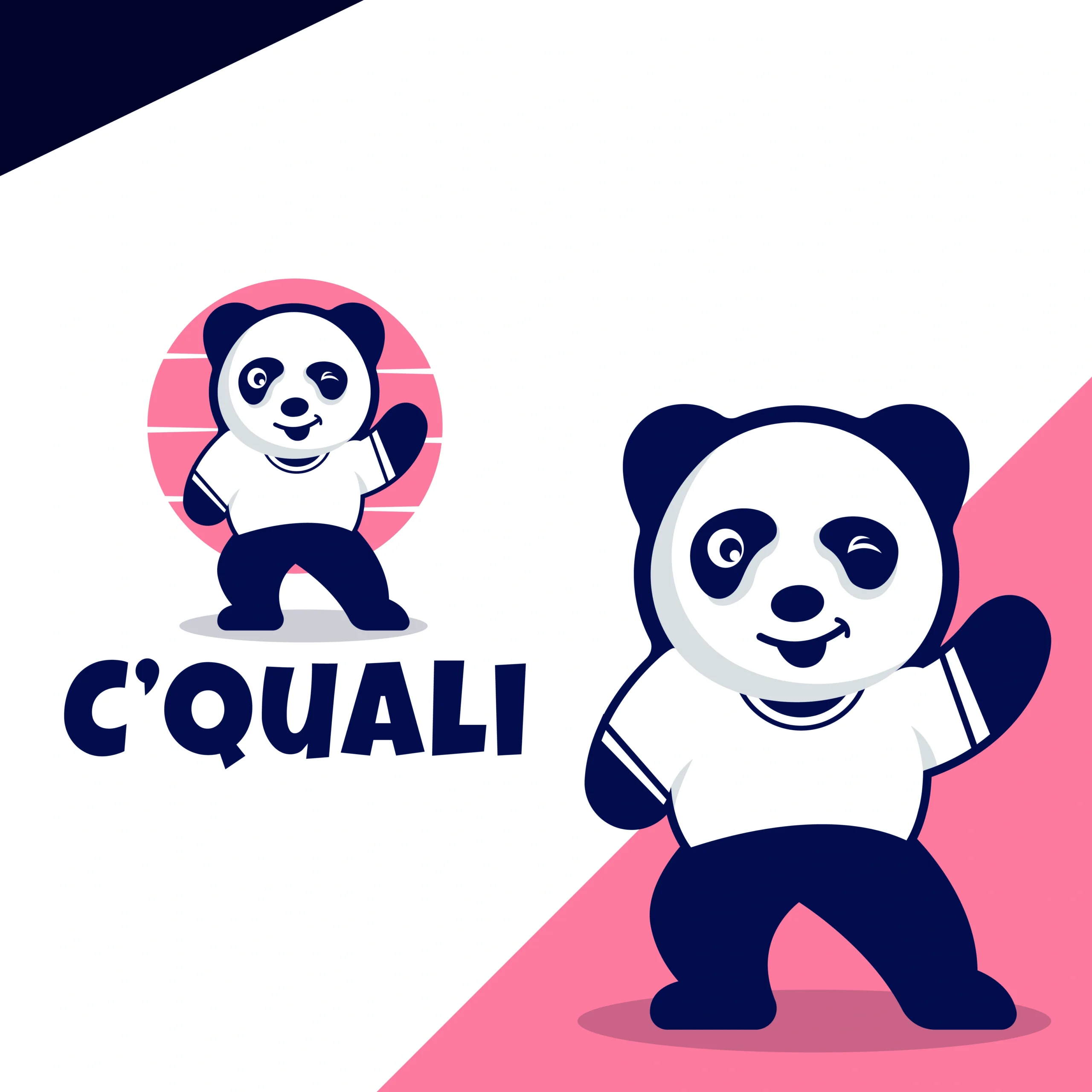 Cquali Logo Design 1 Cquali Logo Design cquali logo design scaled