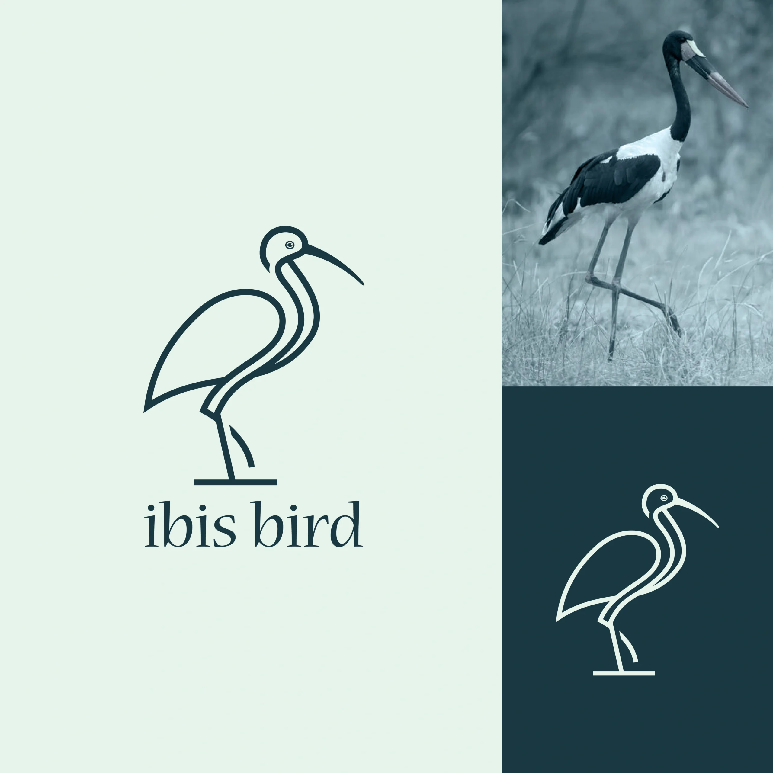 Ibis Bird Logo Design 1 Ibis Bird Logo Design ibis bird logo design scaled