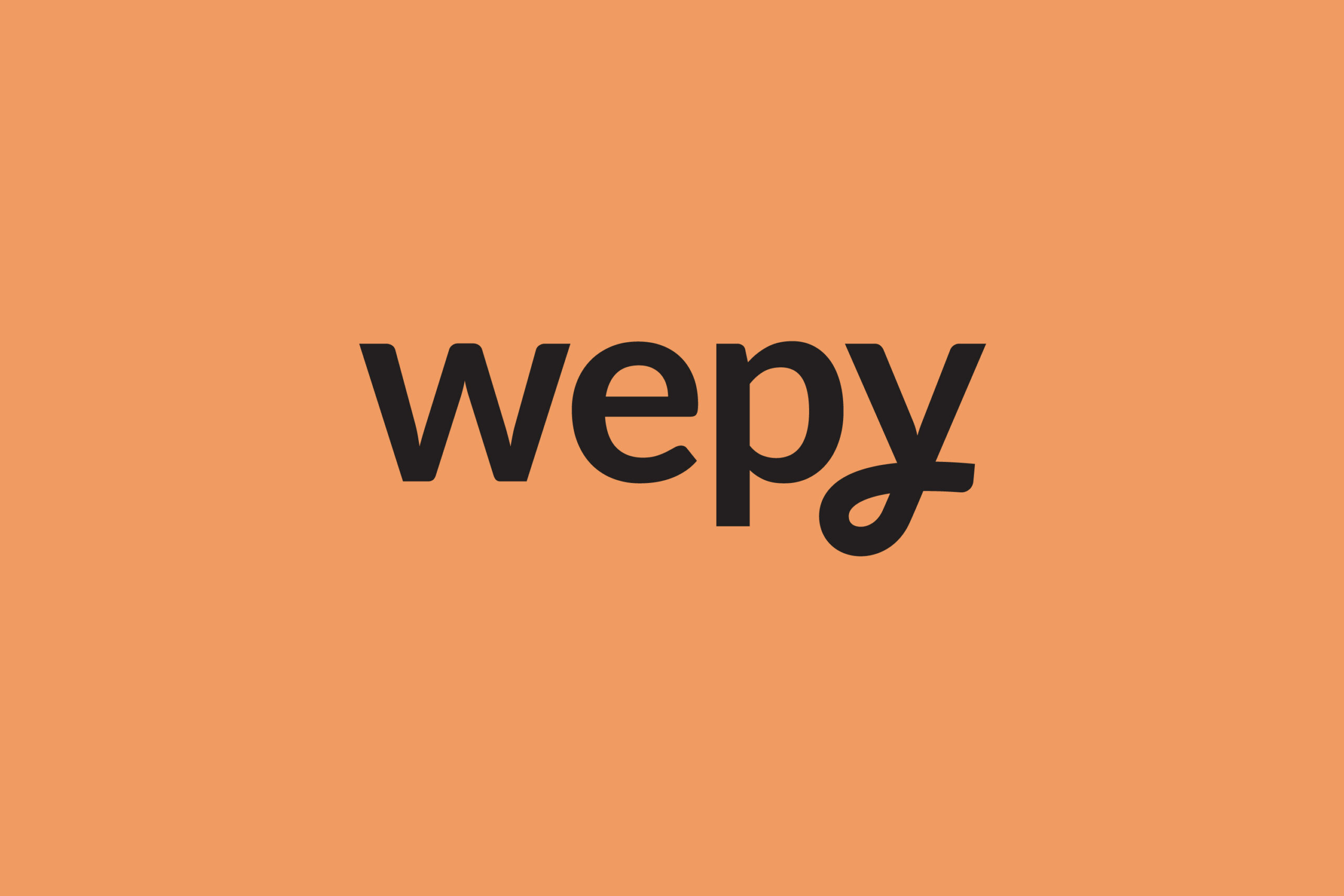 Wepy Brand Style Guide 1 5 scaled