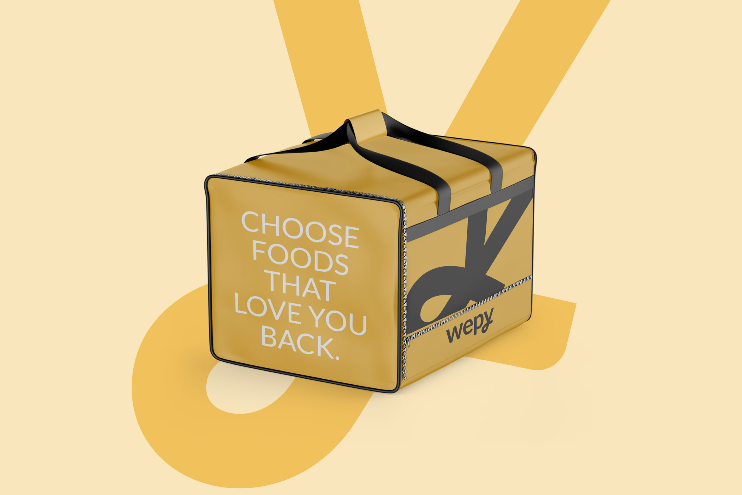 Wepy Brand Style Guide 5 4 scaled