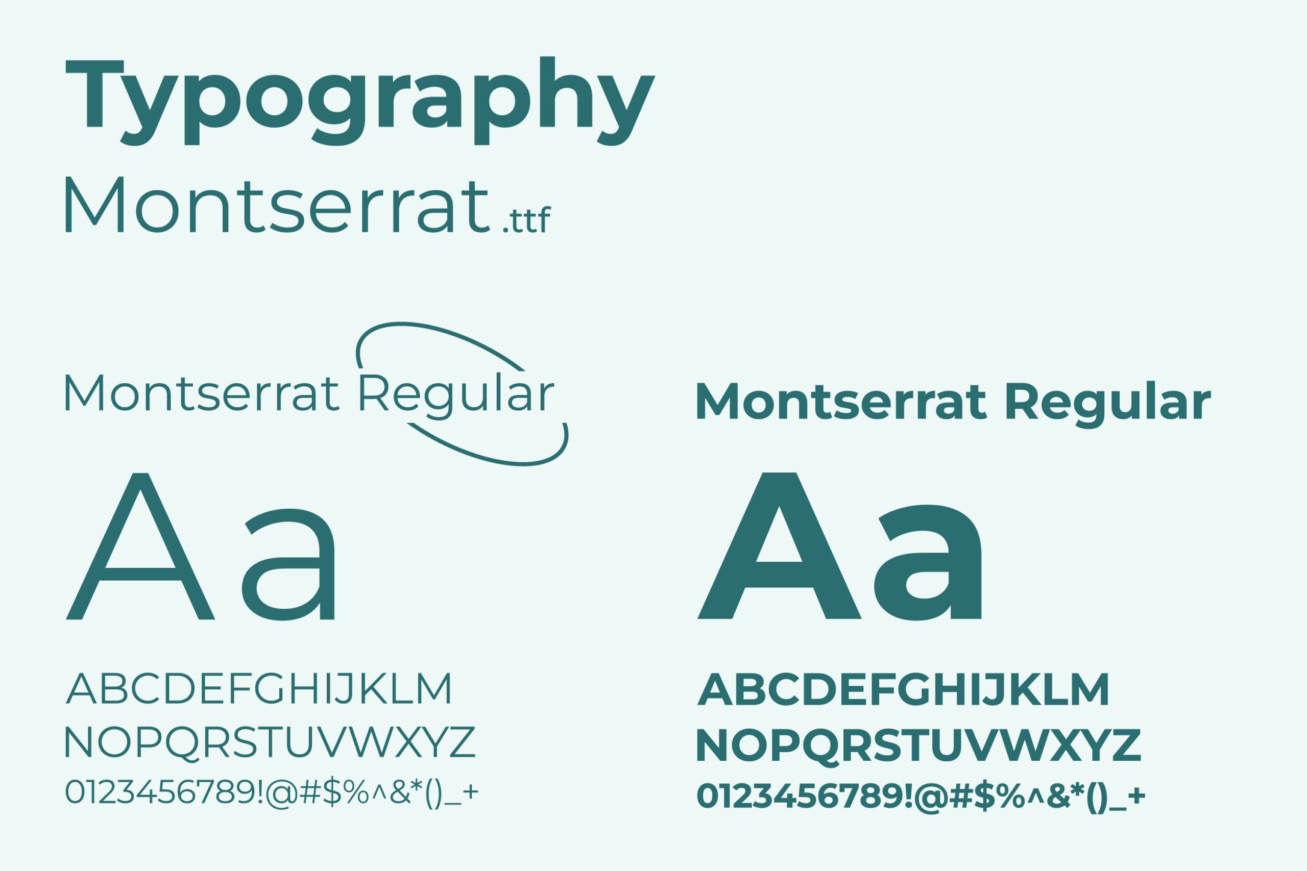 Ryno Nutrition Branding Ryno Nutrition Typography scaled